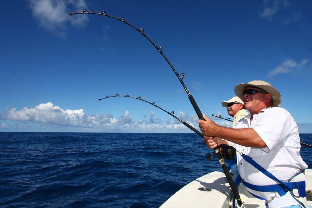 Navegue pela Categoria de Pesca